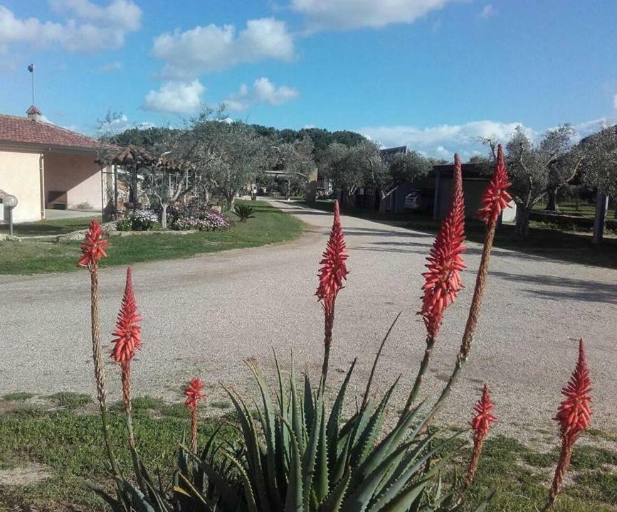 Agriturismo Sa Ruda Càbras Kültér fotó