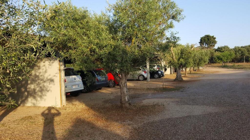 Agriturismo Sa Ruda Càbras Kültér fotó